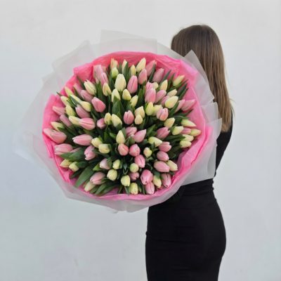 101 mix tulipanów w kolorze białym i różowym.Kwiaciarnia Warszawa