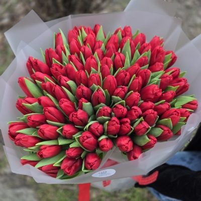 Czerwone tulipanyKwiaciarnia Warszawa