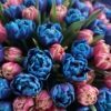 Bukiet tulipanów kosmicznych Pink and Blue