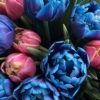 Bukiet tulipanów kosmicznych Pink and Blue