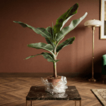 BananowiecKwiaciarnia Warszawa