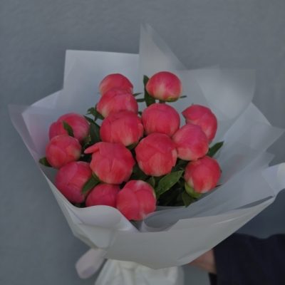 Bukiet koralowych peoniiKwiaty Warszawa