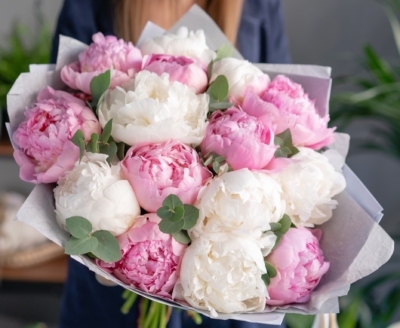 Peonia Blush - bukiet z białej i różowej peoniiPoczta Kwiatowa Warszawa
