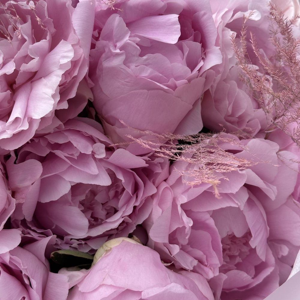 Peonia EleganceKwiaciarnia Kwiatowe Królestwo Warszawa