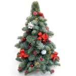 Kwiaciarnia Warszawa