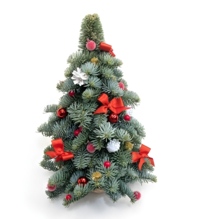 choinkaKwiaciarnia Kwiatowe Królestwo Warszawa