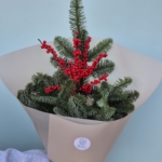 „Bukiet Królestwo Zimowych Jagód z jodłą i czerwonym ileksem.”Kwiaty Warszawa