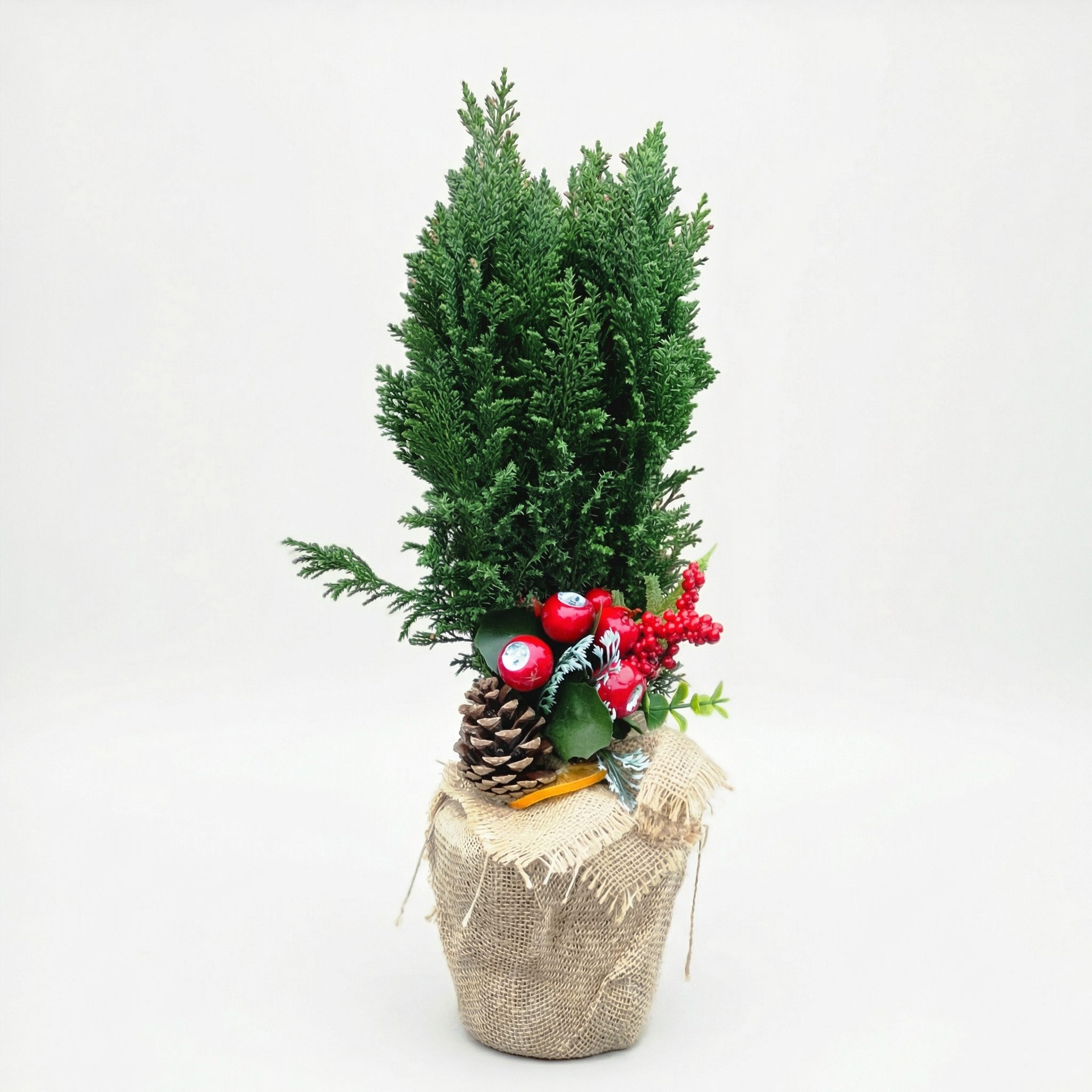 Mini choinka "Zimowy Zakątek"Kwiaciarnia Warszawa