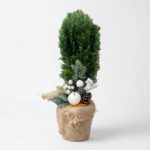 Poczta Kwiatowa Warszawa