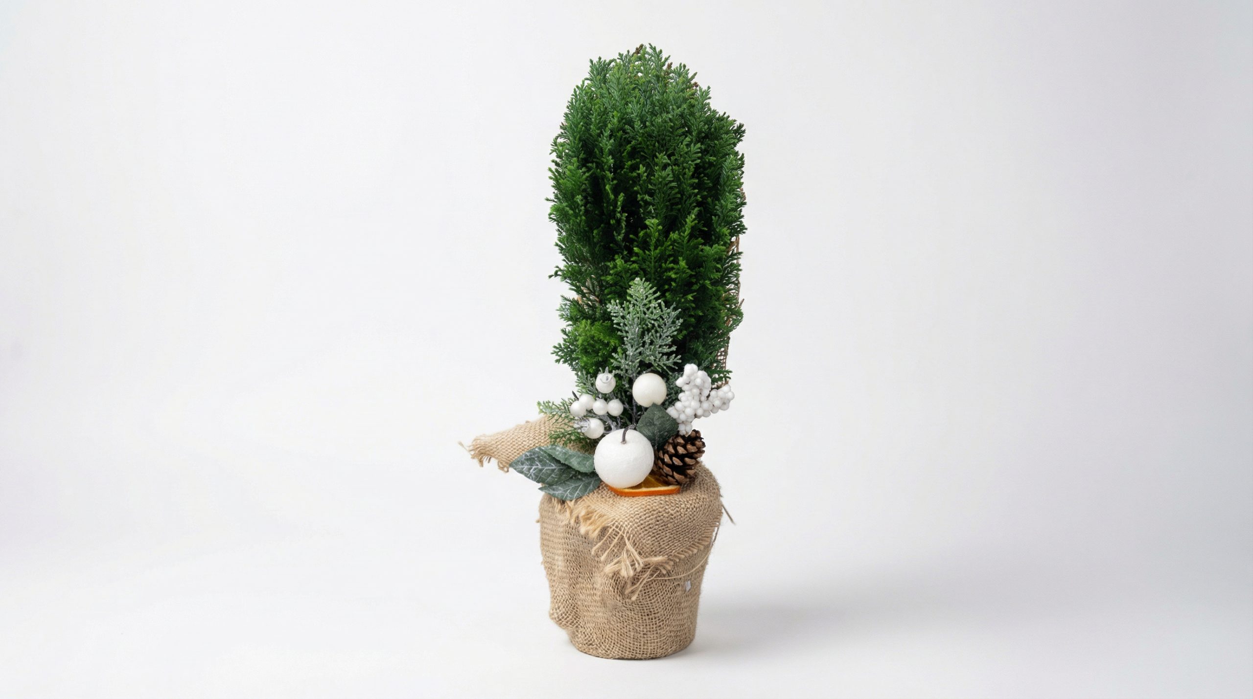 Mini choinka "Leśna Cisza"Kwiaciarnia Kwiatowe Królestwo Warszawa