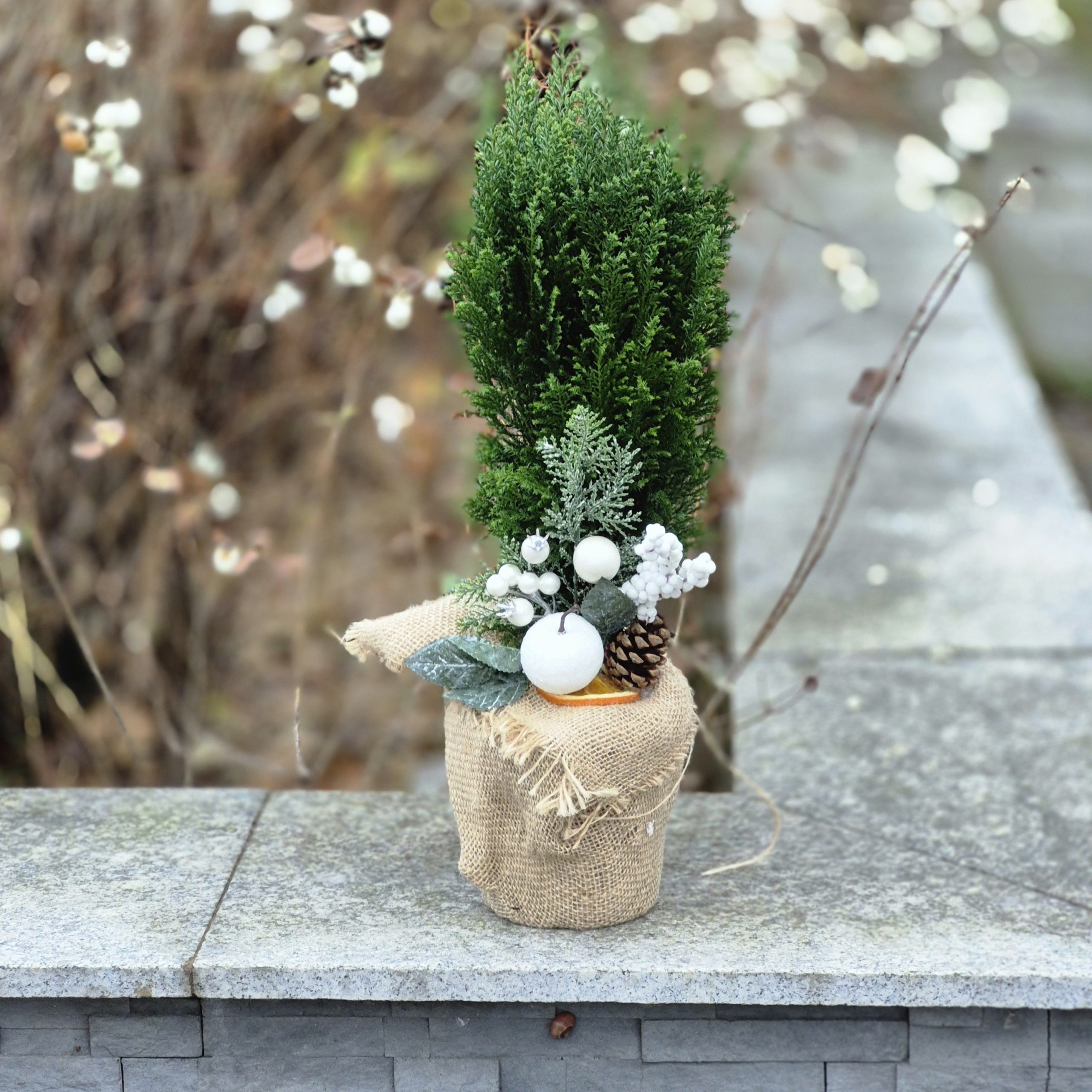 Mini choinka "Leśna Cisza"Kwiaty Warszawa