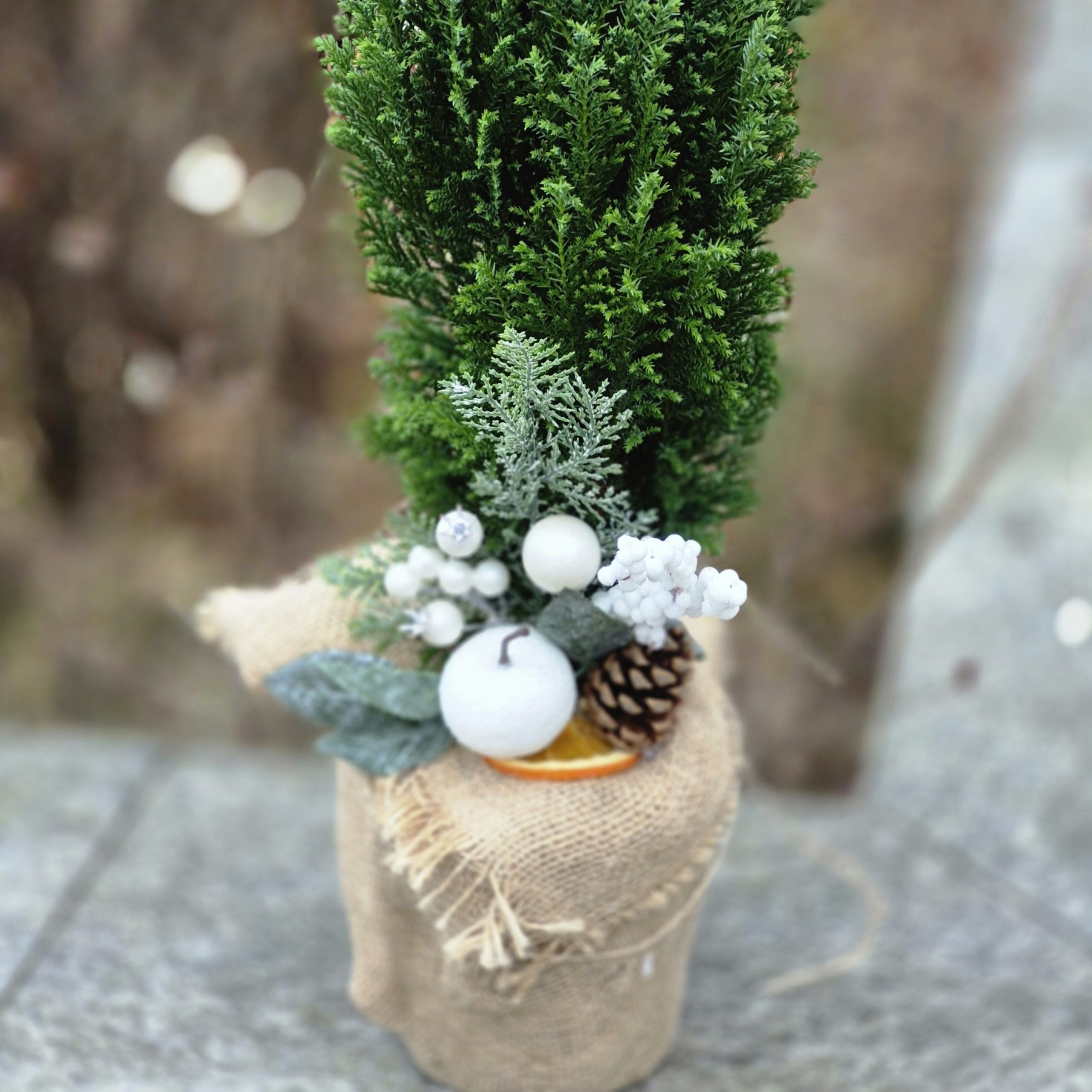 Mini choinka "Leśna Cisza"Kwiaciarnia Kwiatowe Królestwo Warszawa