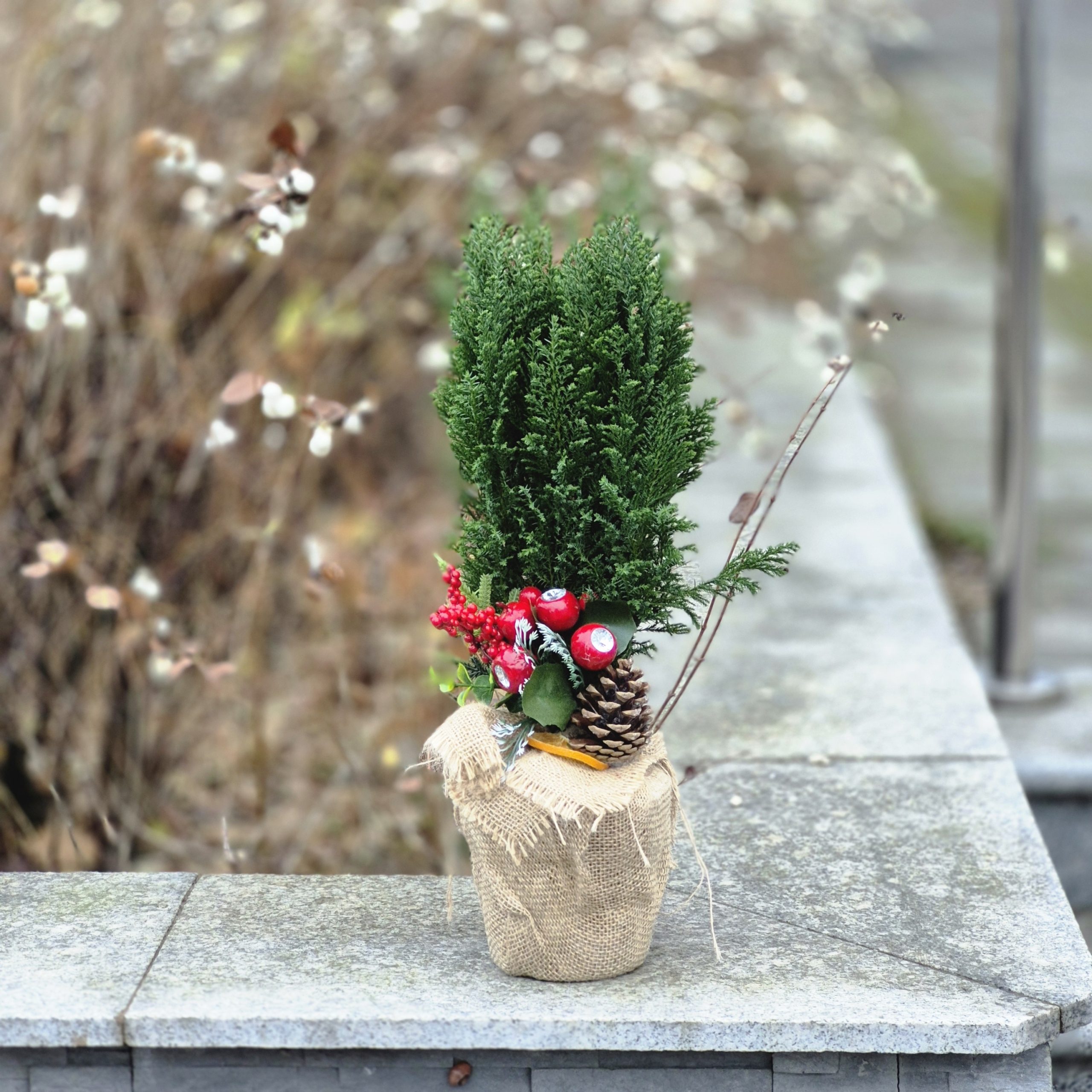 Mini choinka "Zimowy Zakątek"Kwiaciarnia Kwiatowe Królestwo Warszawa