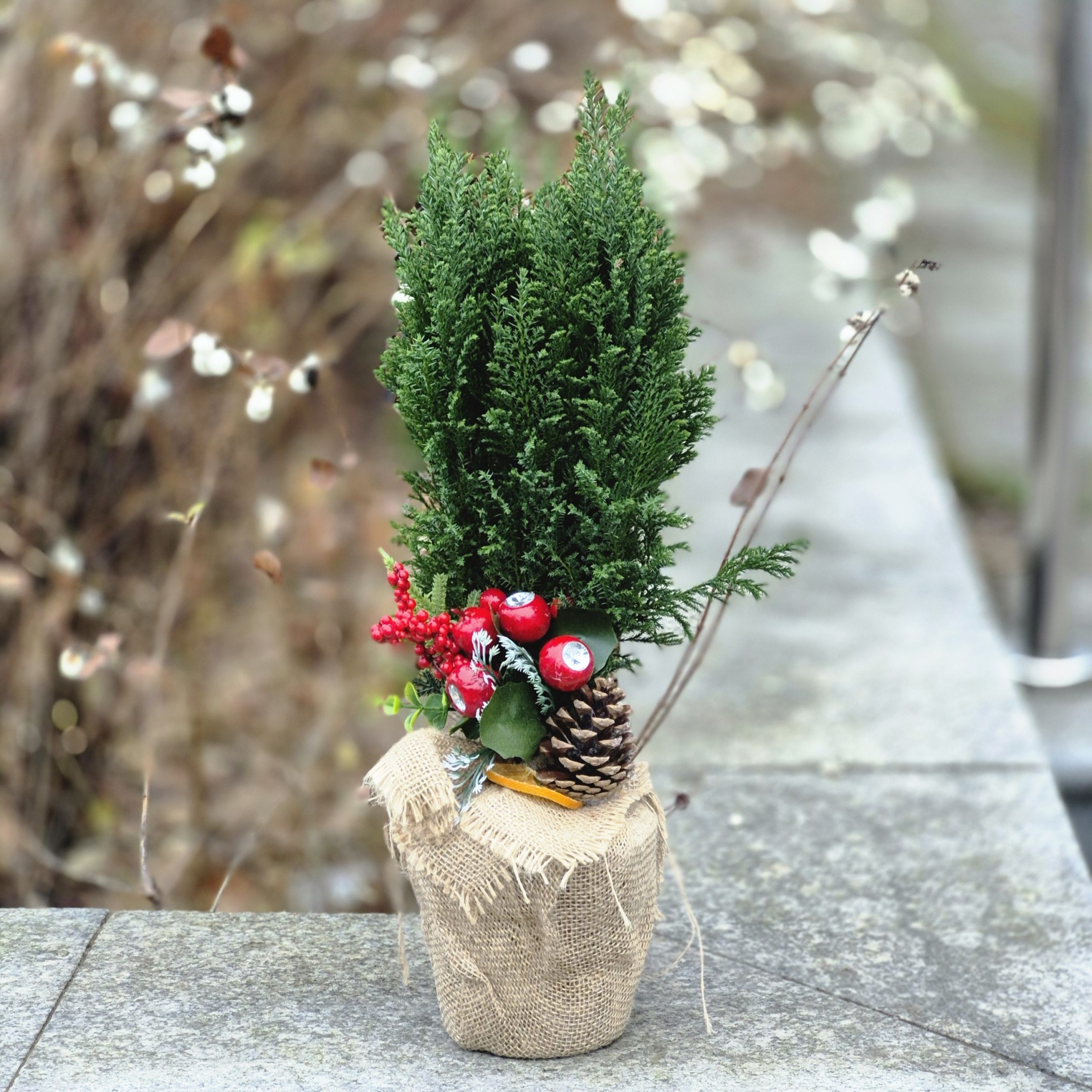 Mini choinka "Zimowy Zakątek"Kwiaciarnia Warszawa