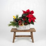 Kosz "Świąteczna Harmonia" to kompozycja z czerwonej gwiazdy i wina.Kwiaty Warszawa