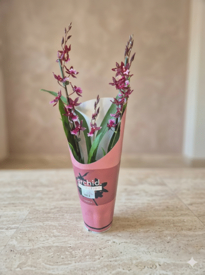 BurragaeraPoczta Kwiatowa Warszawa