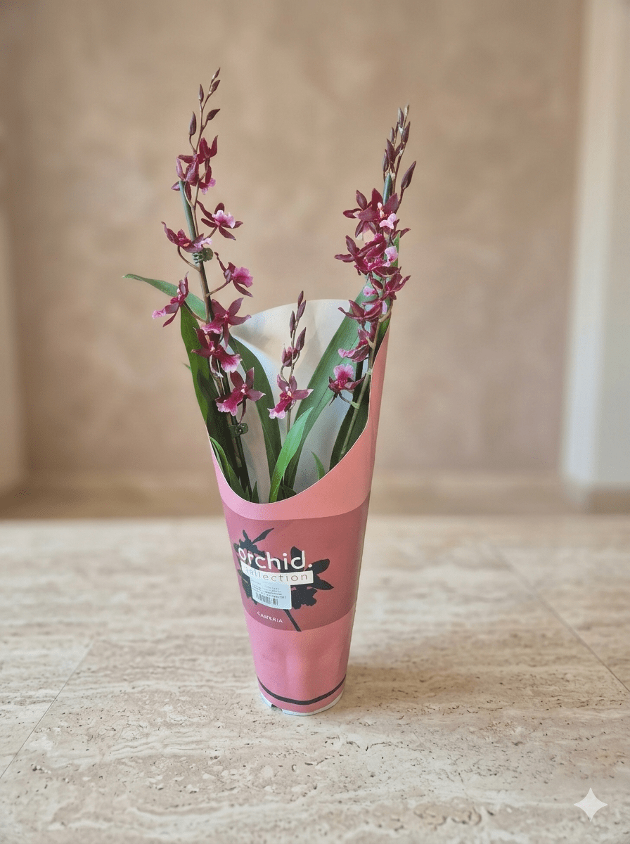 BurragaeraPoczta Kwiatowa Warszawa